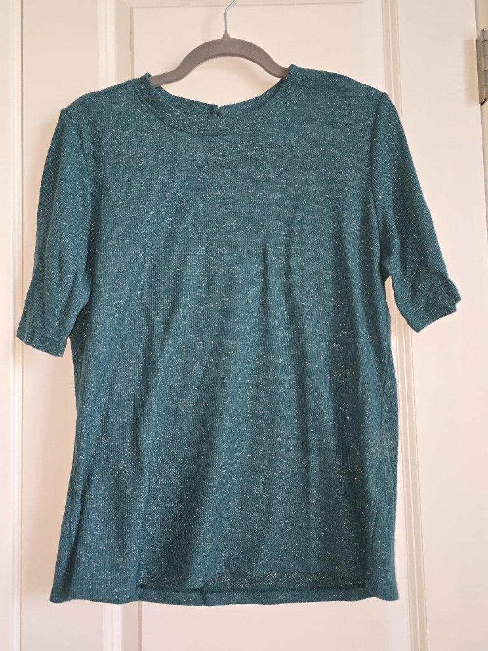 Teal Sparkly Ribbed Short Sleeve Top
